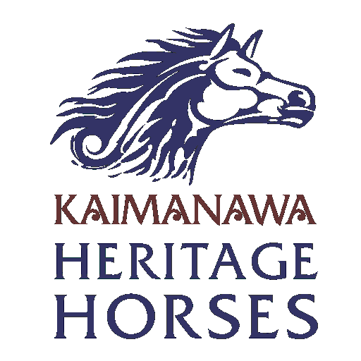 Kaimanawa Heritage Horses Welfare Society
