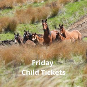 Friday Ranges Bus Tour – Child (up to 13)